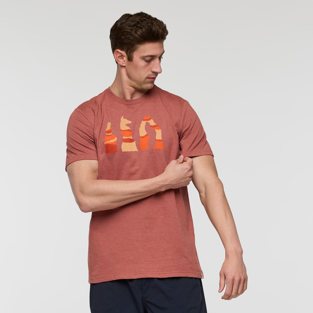 Llama Hoodoo T Shirt   Men's