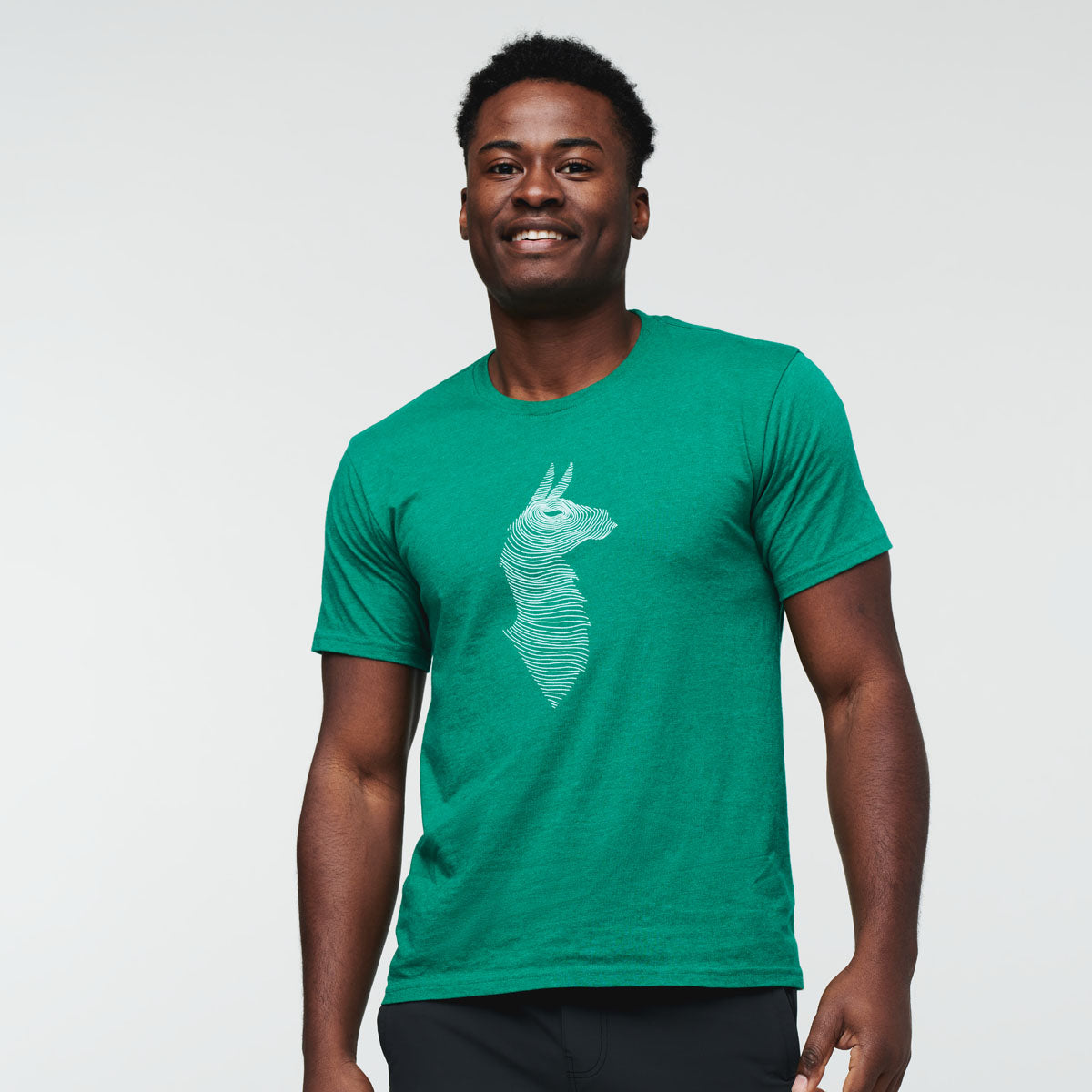 Topo Llama T Shirt   Men's