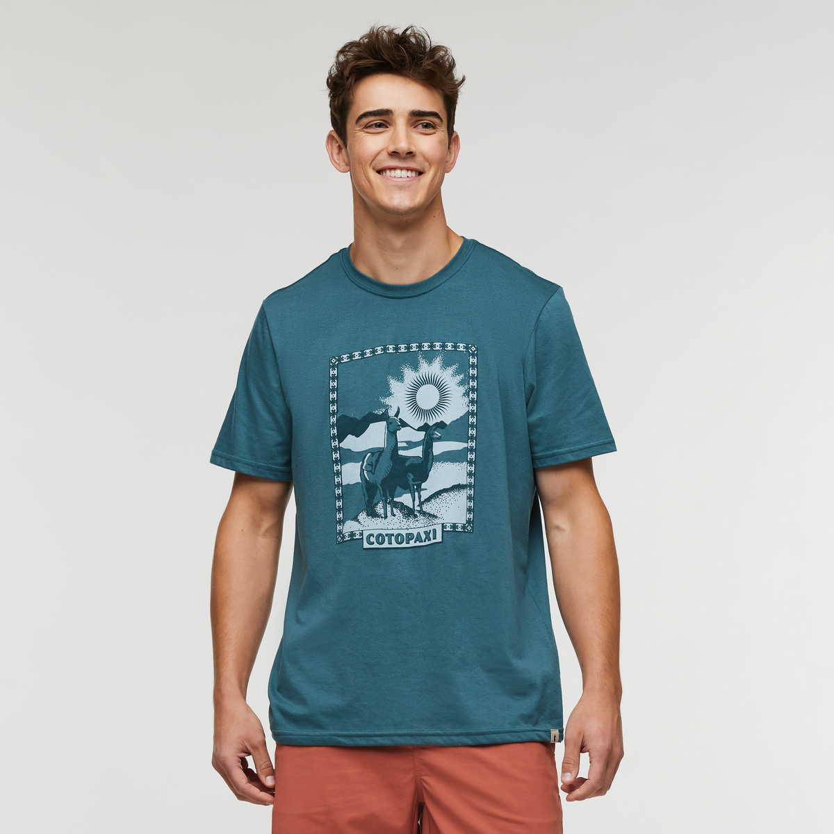 Llama Greetings T Shirt   Men's
