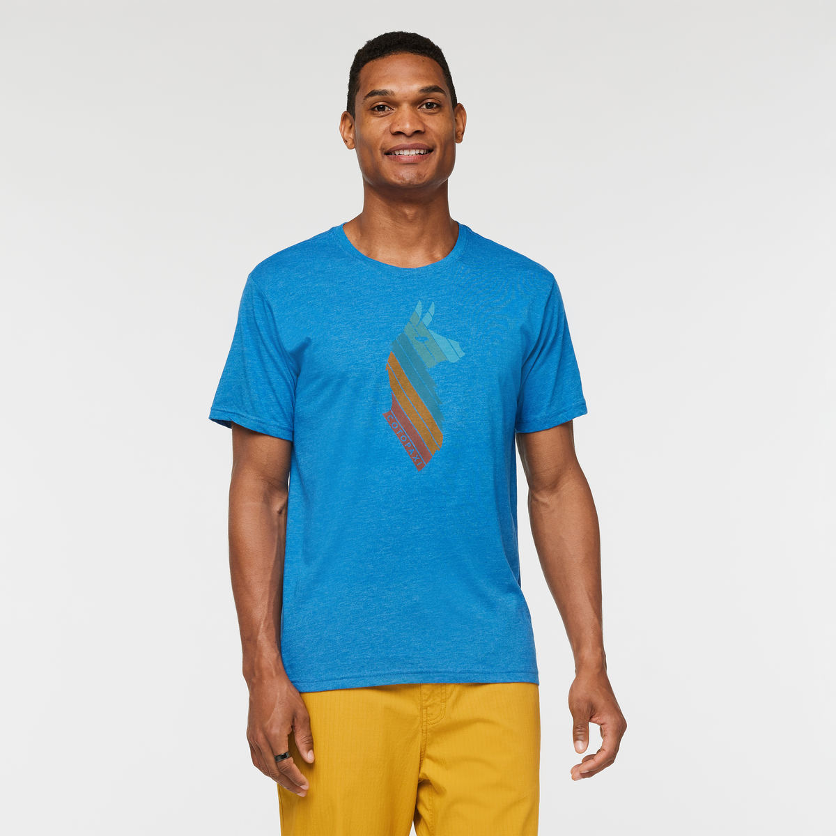 Llama Stripes T Shirt   Men's